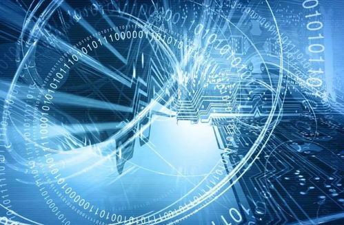 網(wǎng)絡(luò)清源 立法護(hù)航，技術(shù)賦能